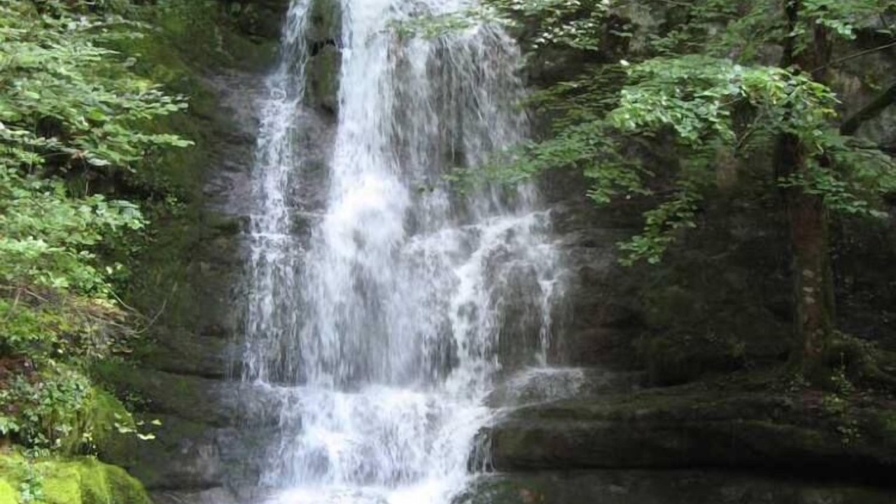 Photo of Outdoor in Paroisse des Monts de Bienne
