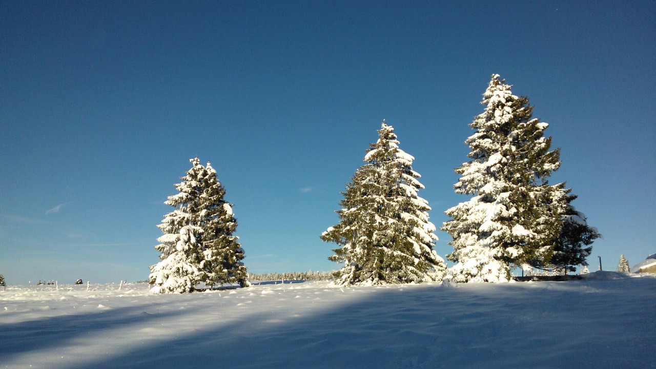 Photo of Outdoor in Paroisse des Monts de Bienne