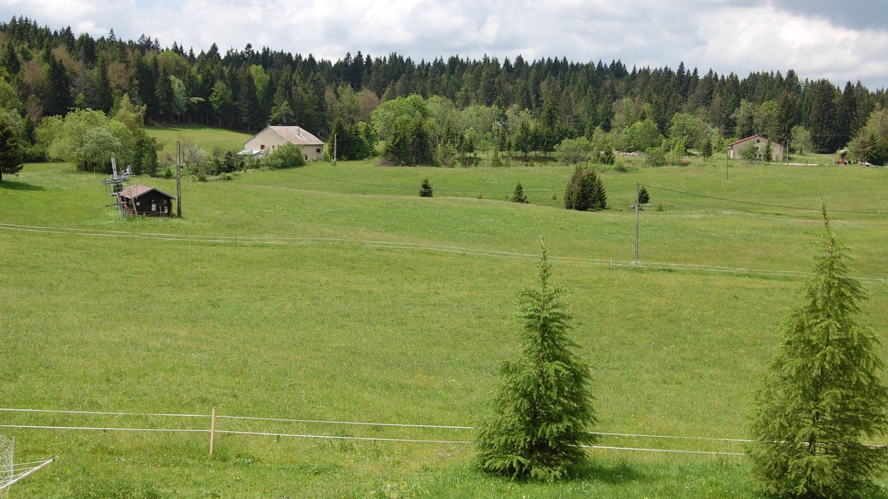 Photo of Others in Paroisse des Monts de Bienne