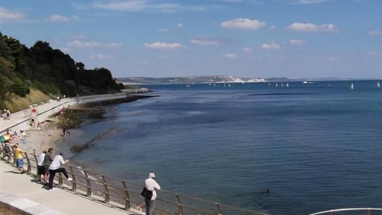 Photo of Others in Weymouth