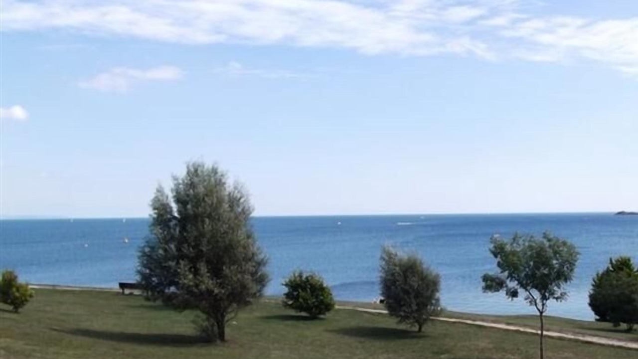 Photo of Others in Weymouth