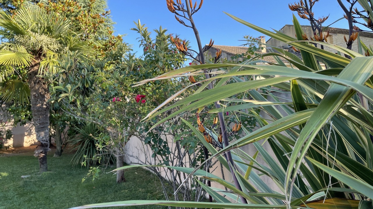 Photo of Outdoor in Malaucene