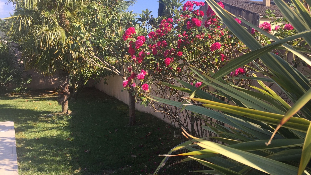 Photo of Outdoor in Malaucene