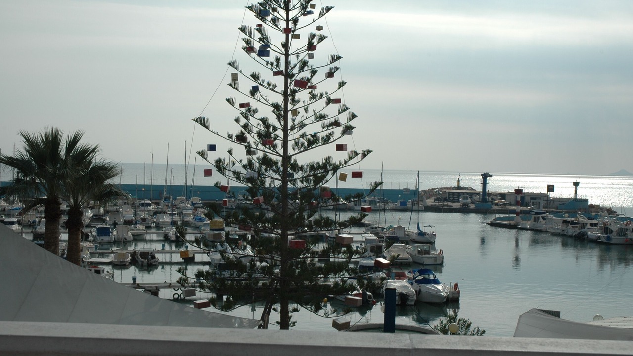 Photo of Others in Torre de la Horadada