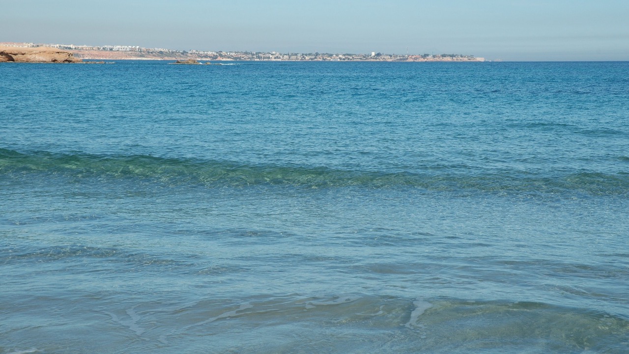 Photo of Others in Torre de la Horadada