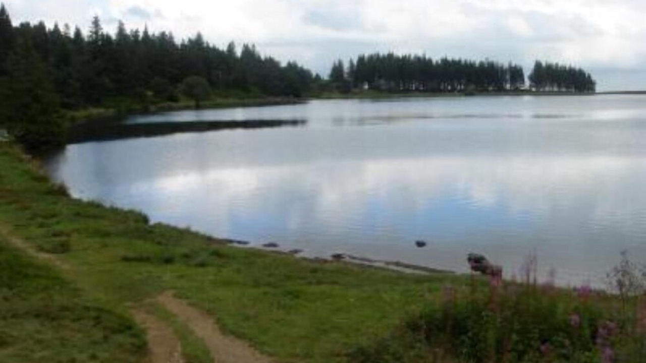 Photo of Others in Mont-Dore