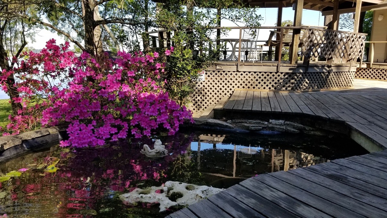 Photo of Outdoor in Indian Shores