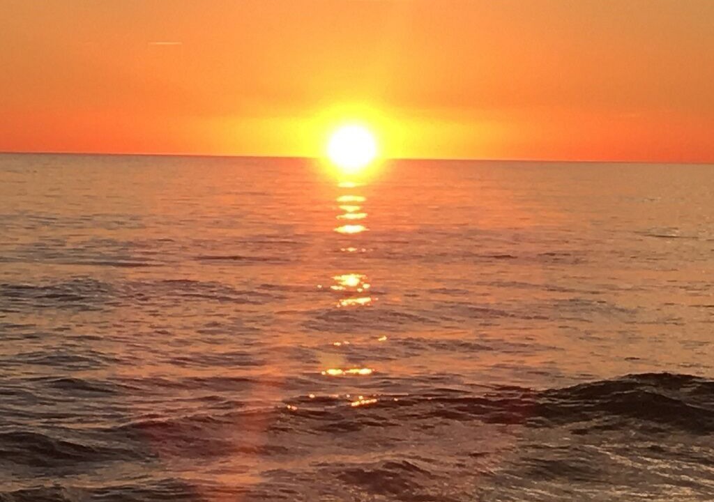 Photo of Others in Biltmore Beach