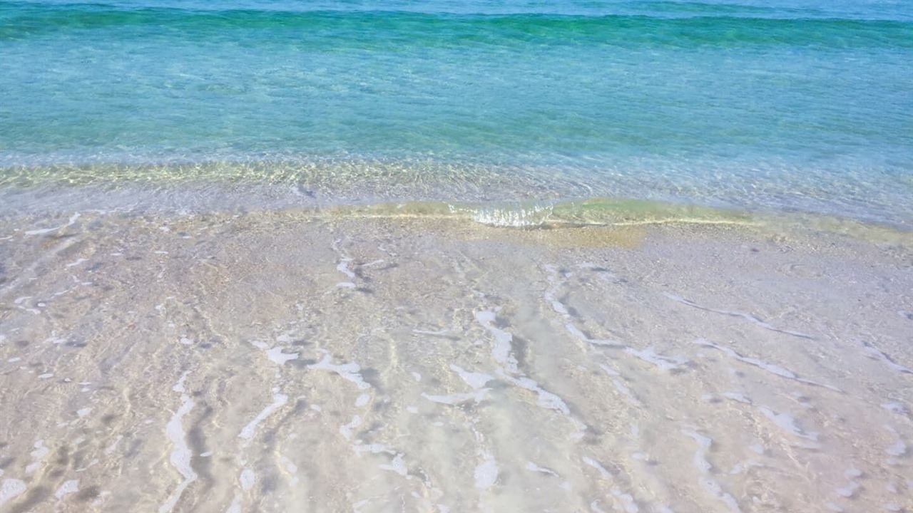 Photo of Others in Biltmore Beach
