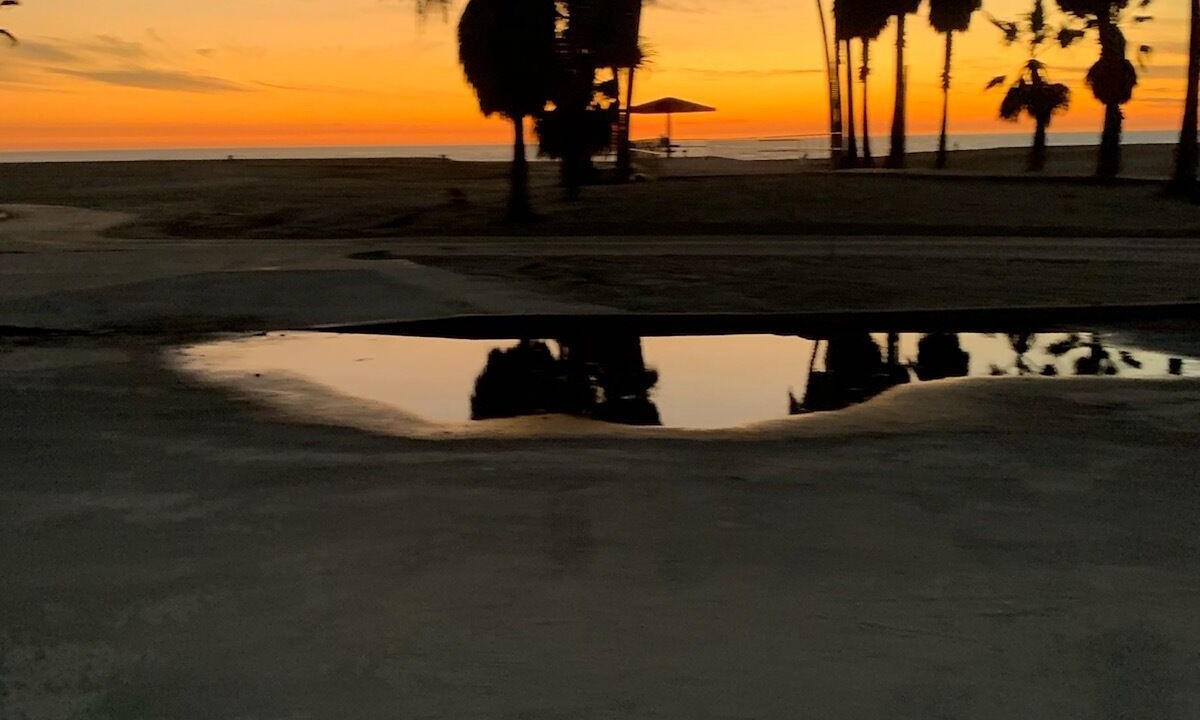 Photo of Others in Venice