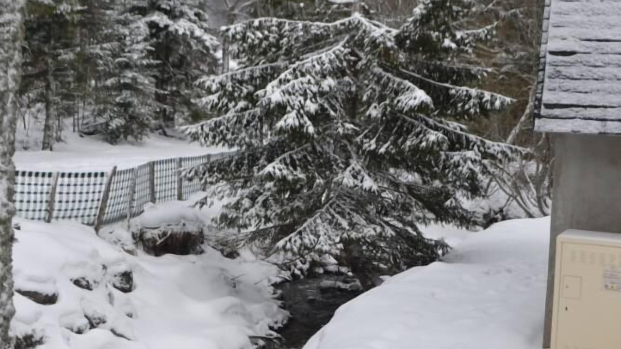 Photo of Outdoor in Mont-Dore