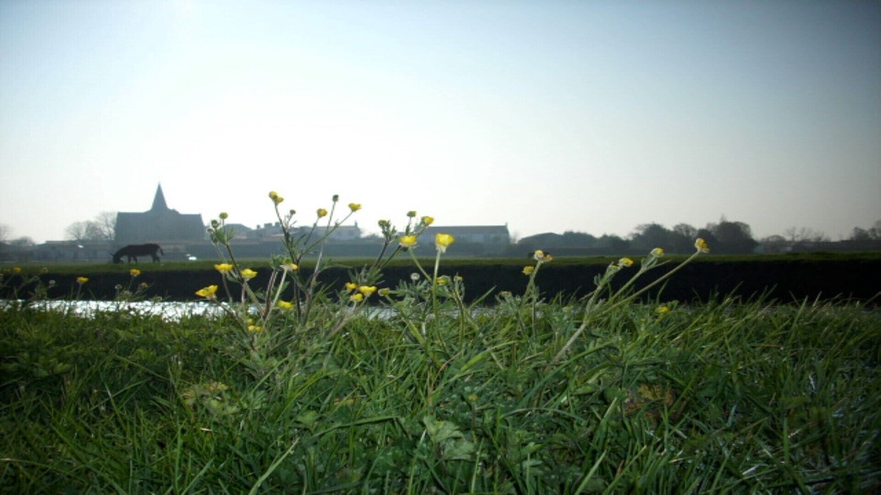 Photo of Outdoor in Sallertaine