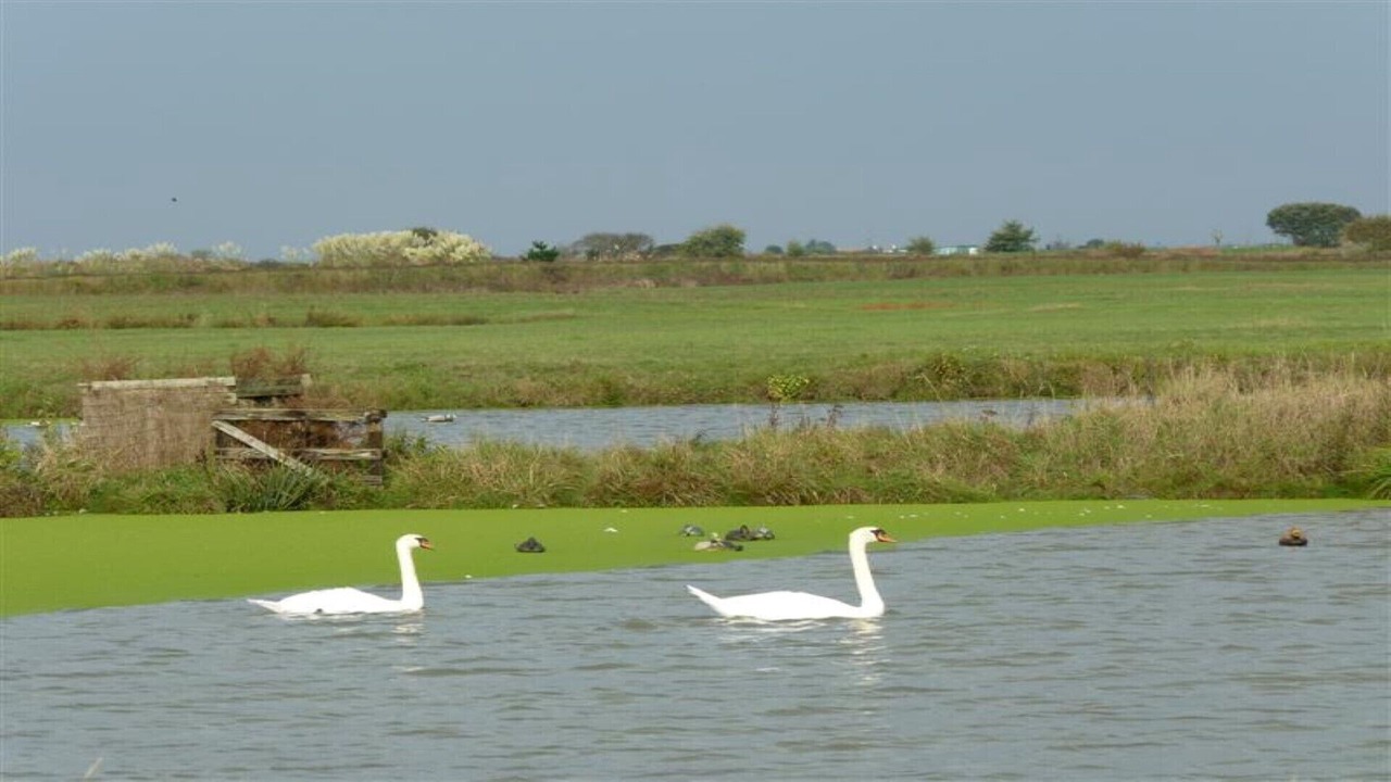 Photo of Outdoor in Sallertaine