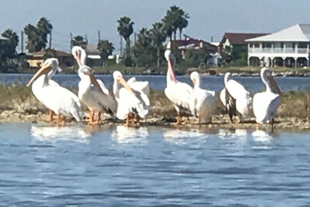 Photo of Others in Rockport