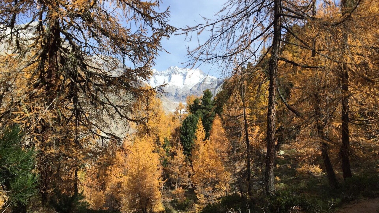 Photo of Others in Riederalp