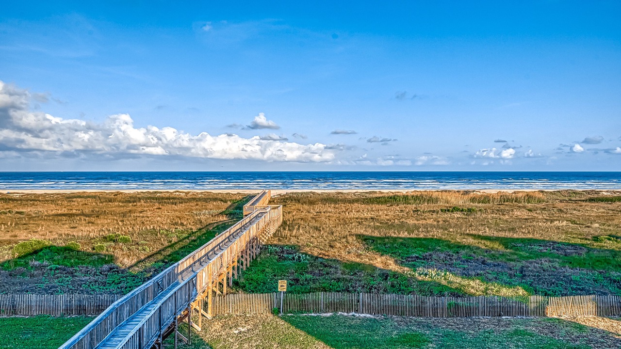 Photo of Others in Galveston