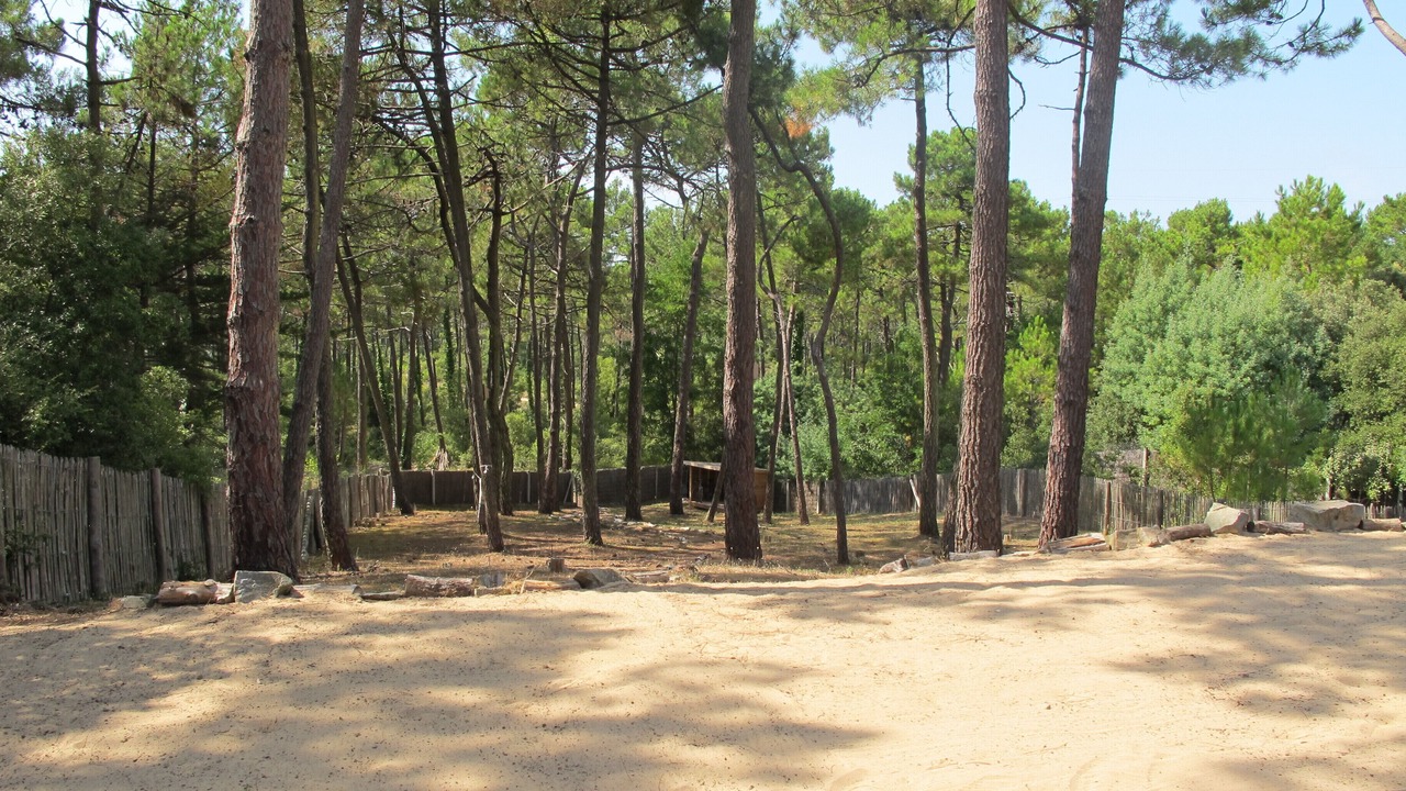 Photo of Outdoor in Notre-Dame-de-Monts