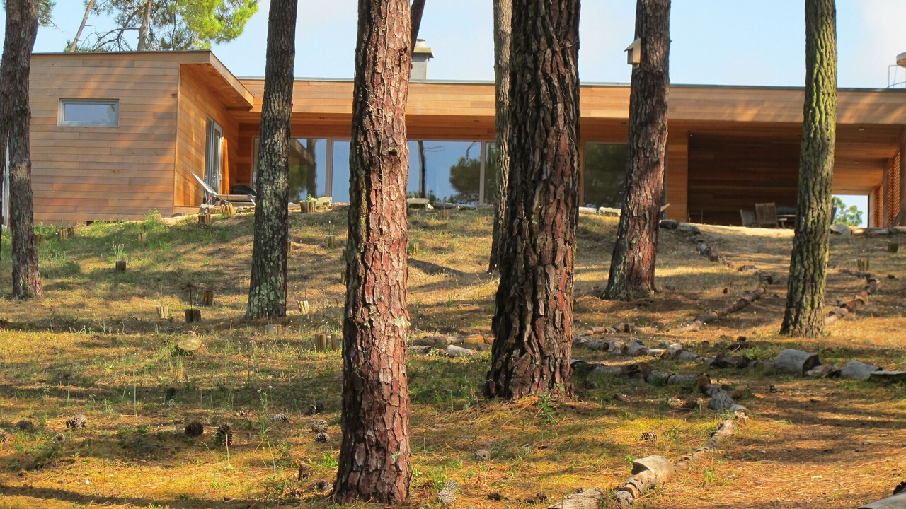 Photo of Outdoor in Notre-Dame-de-Monts