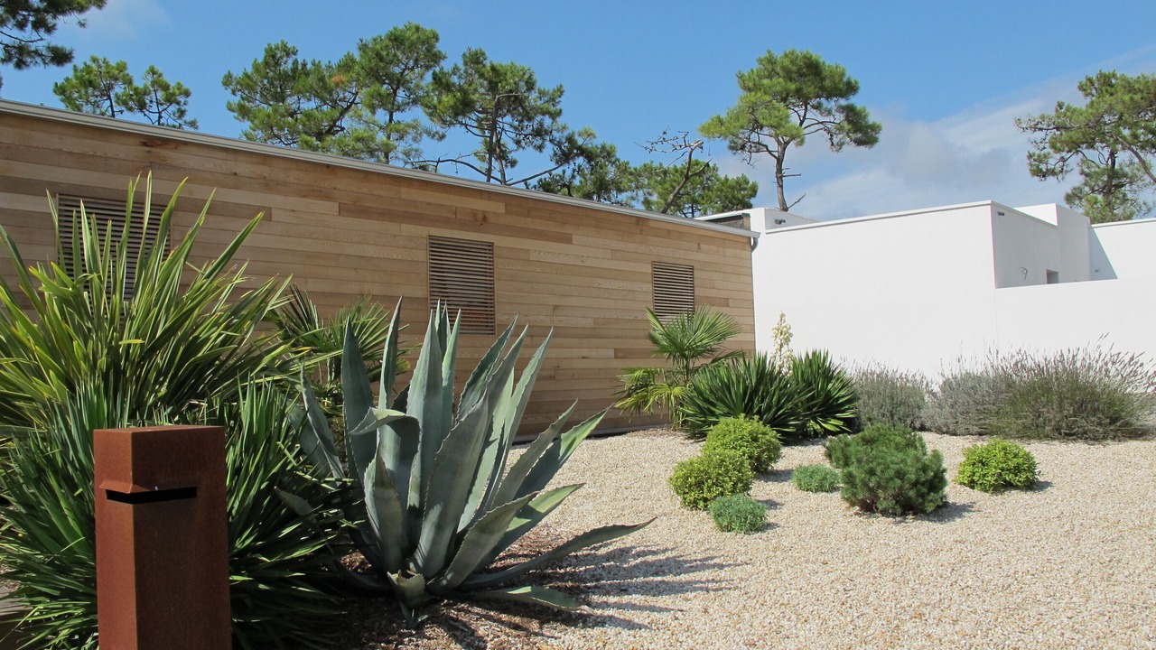 Photo of Outdoor in Notre-Dame-de-Monts