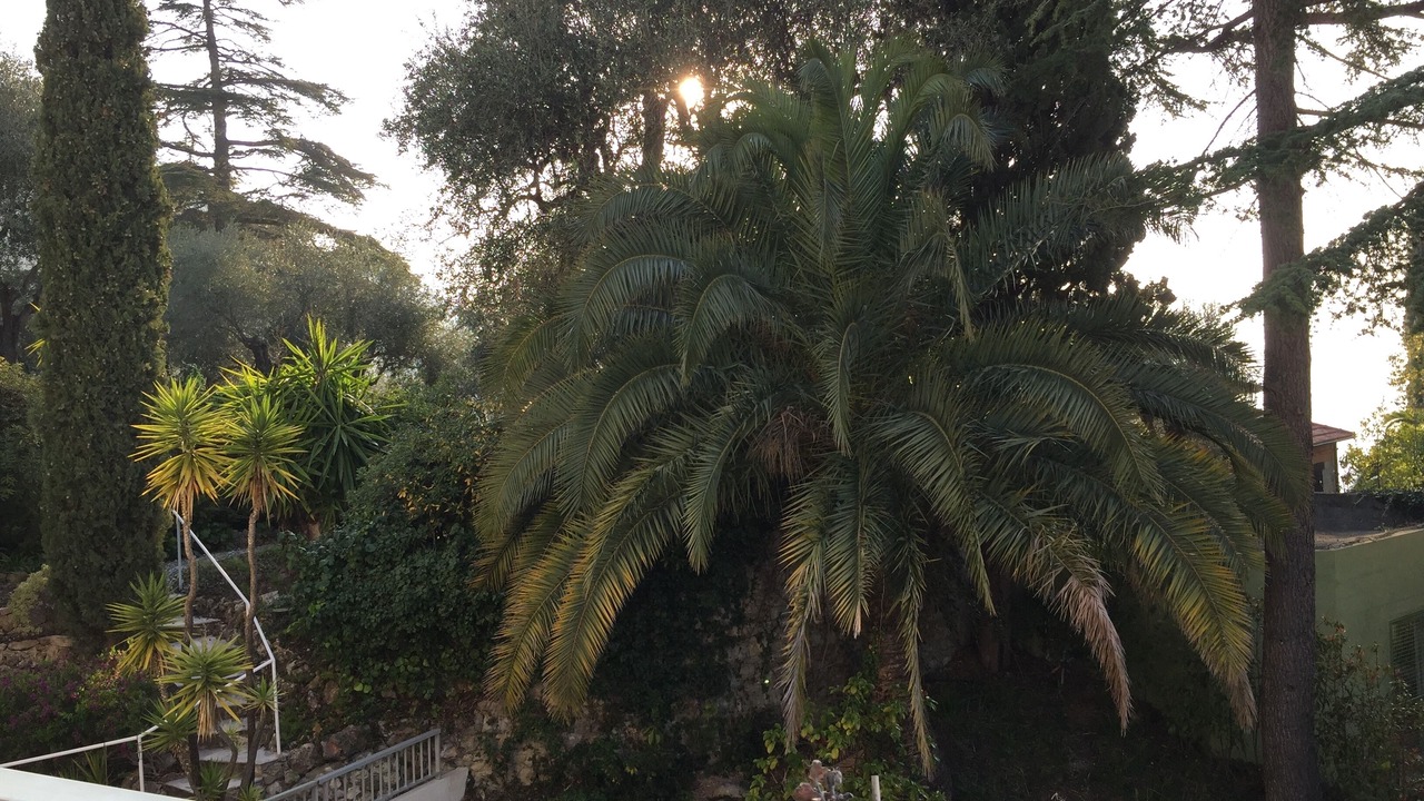 Photo of Outdoor in Menton