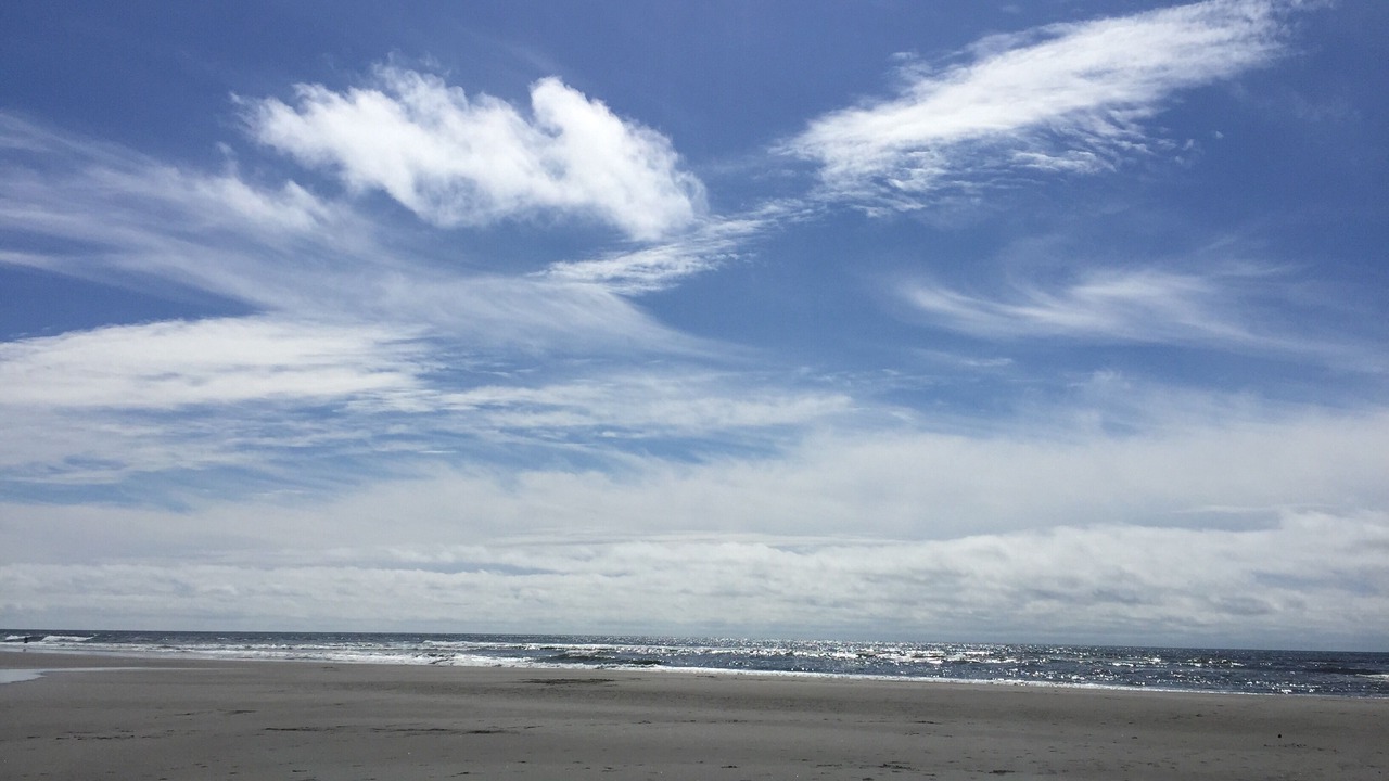 Photo of Others in Ocean Park