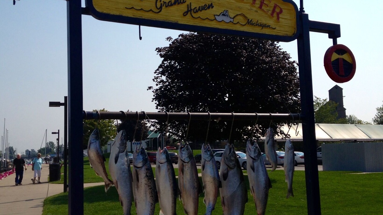 Photo of Others in Grand Haven