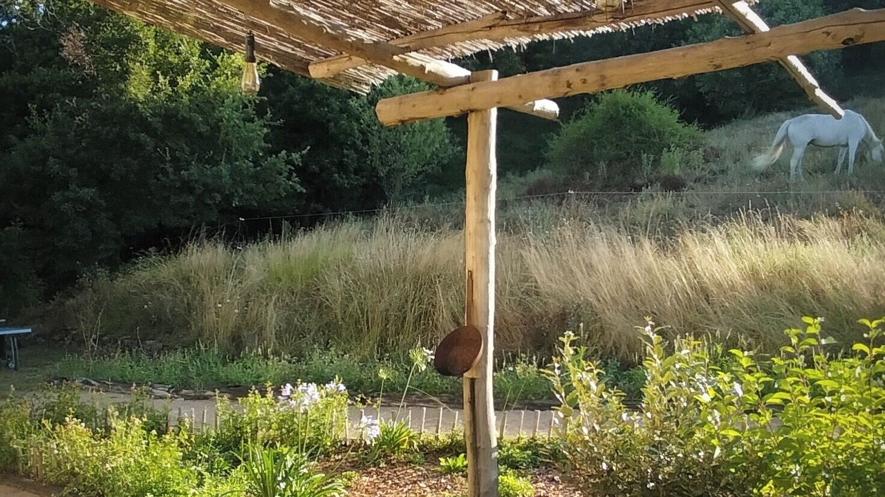 Photo of Outdoor in Alzon