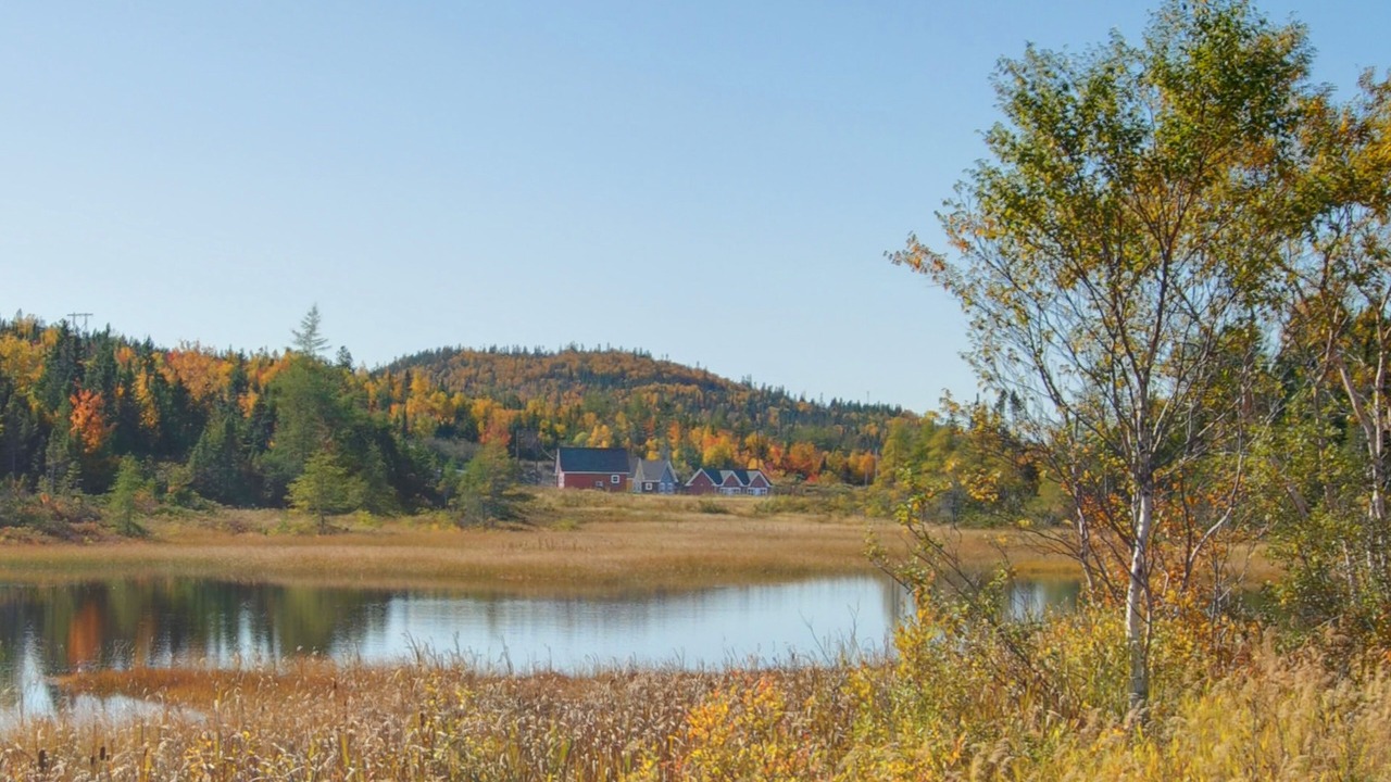 Photo of Others in Corner Brook