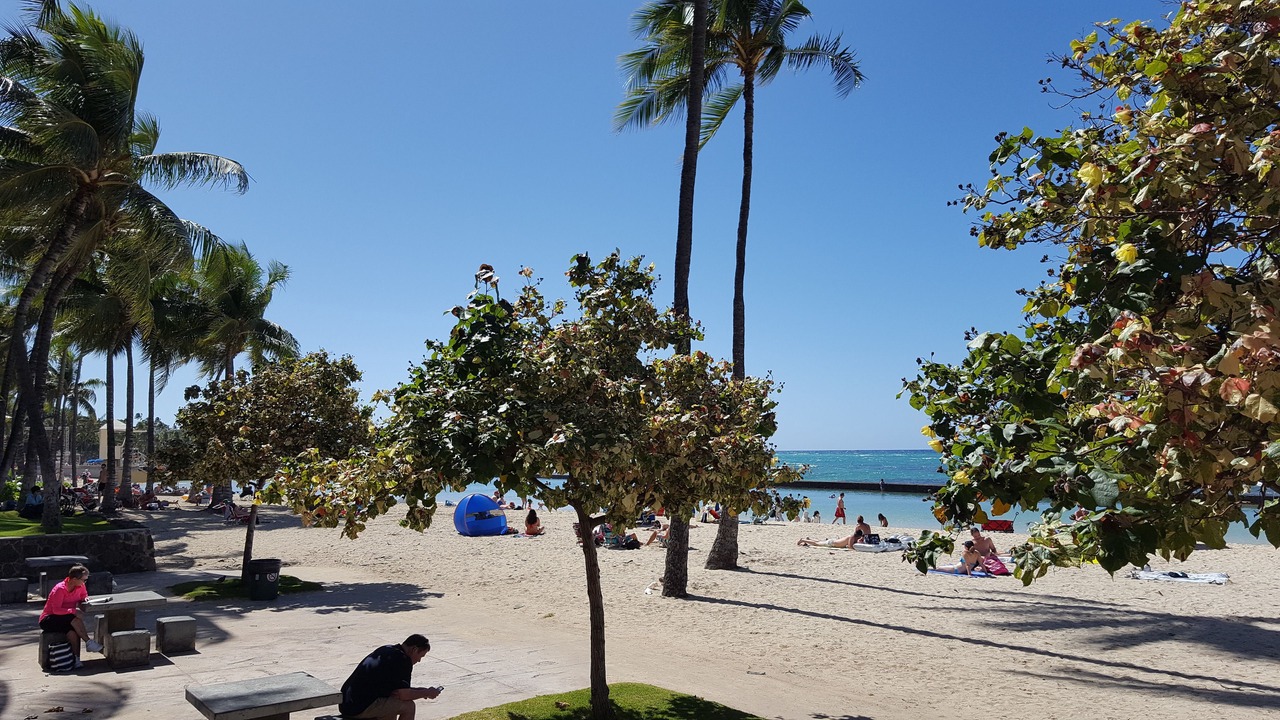 Photo of Others in Waikiki