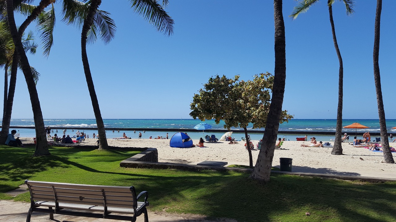 Photo of Others in Waikiki