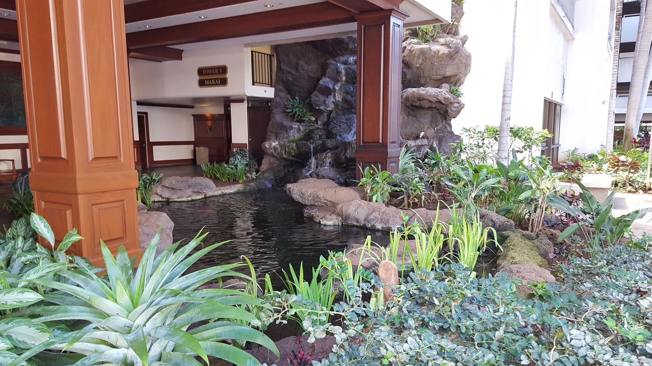 Photo of Outdoor in Waikiki