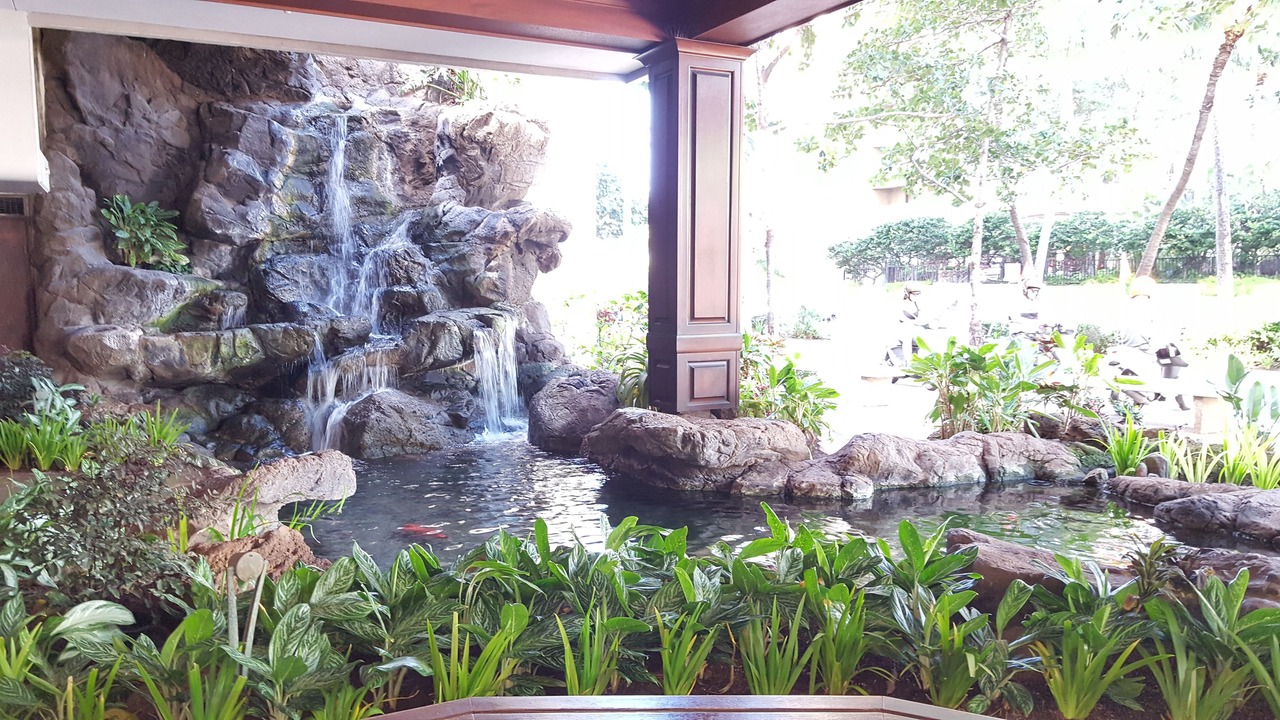 Photo of Outdoor in Waikiki