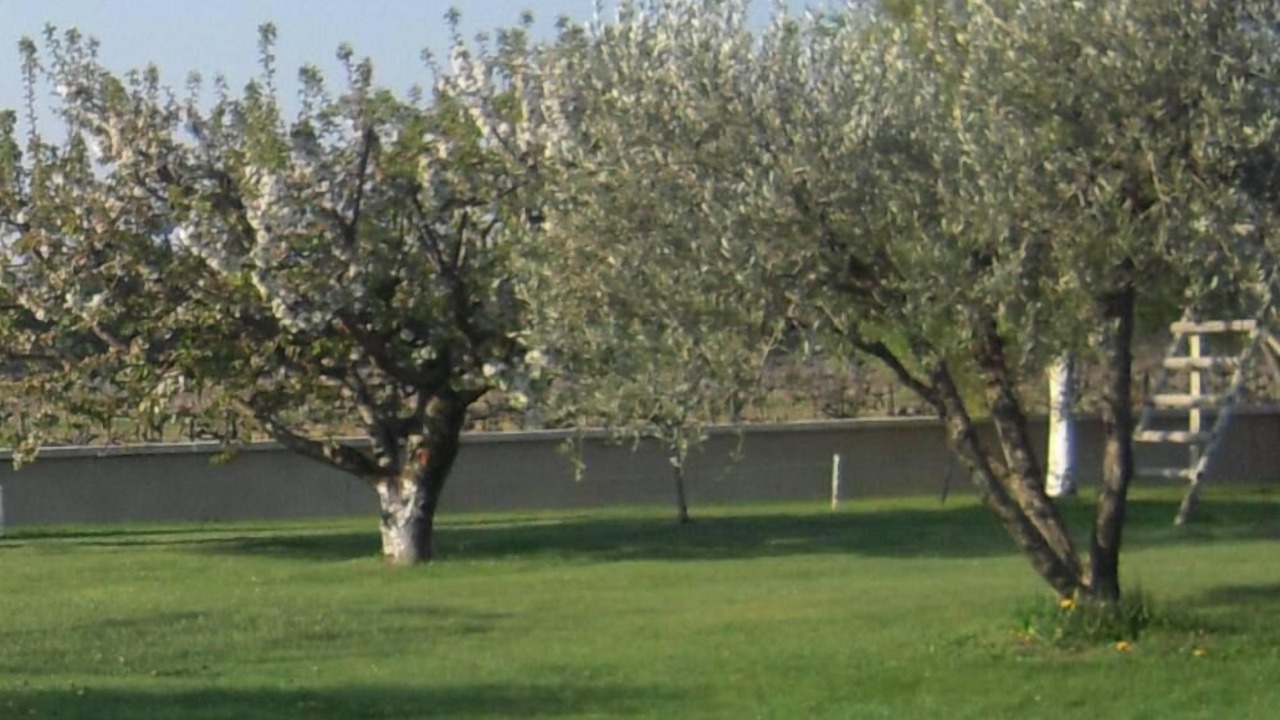 Photo of Outdoor in Jonquieres