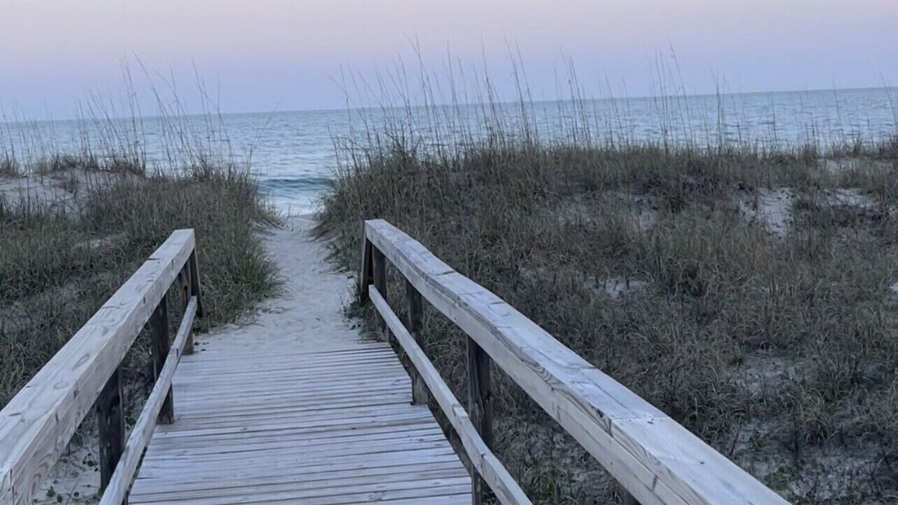 Photo of Others in Carolina Beach