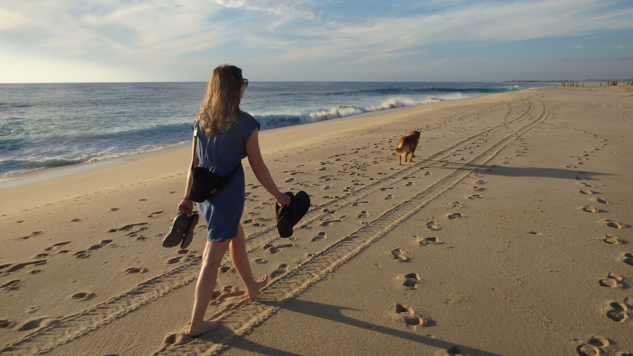 Photo of Others in Costa