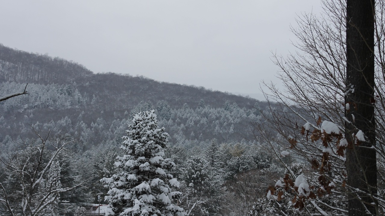 Photo of Others in Wells