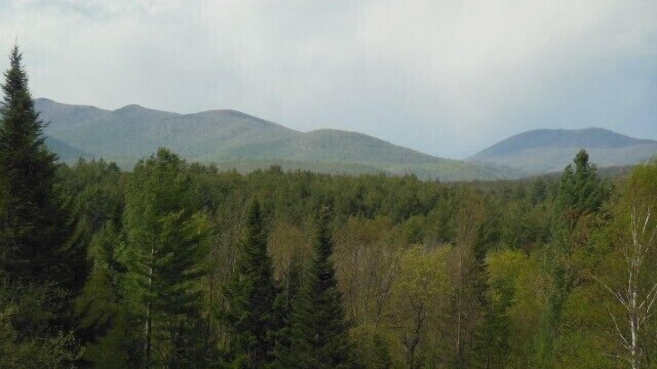 Photo of Others in Wells