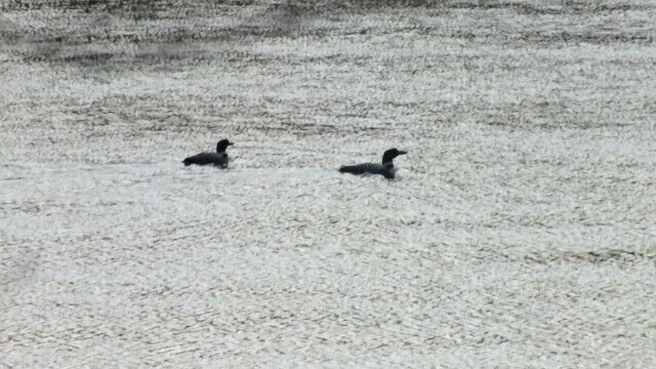 Photo of Others in Wells