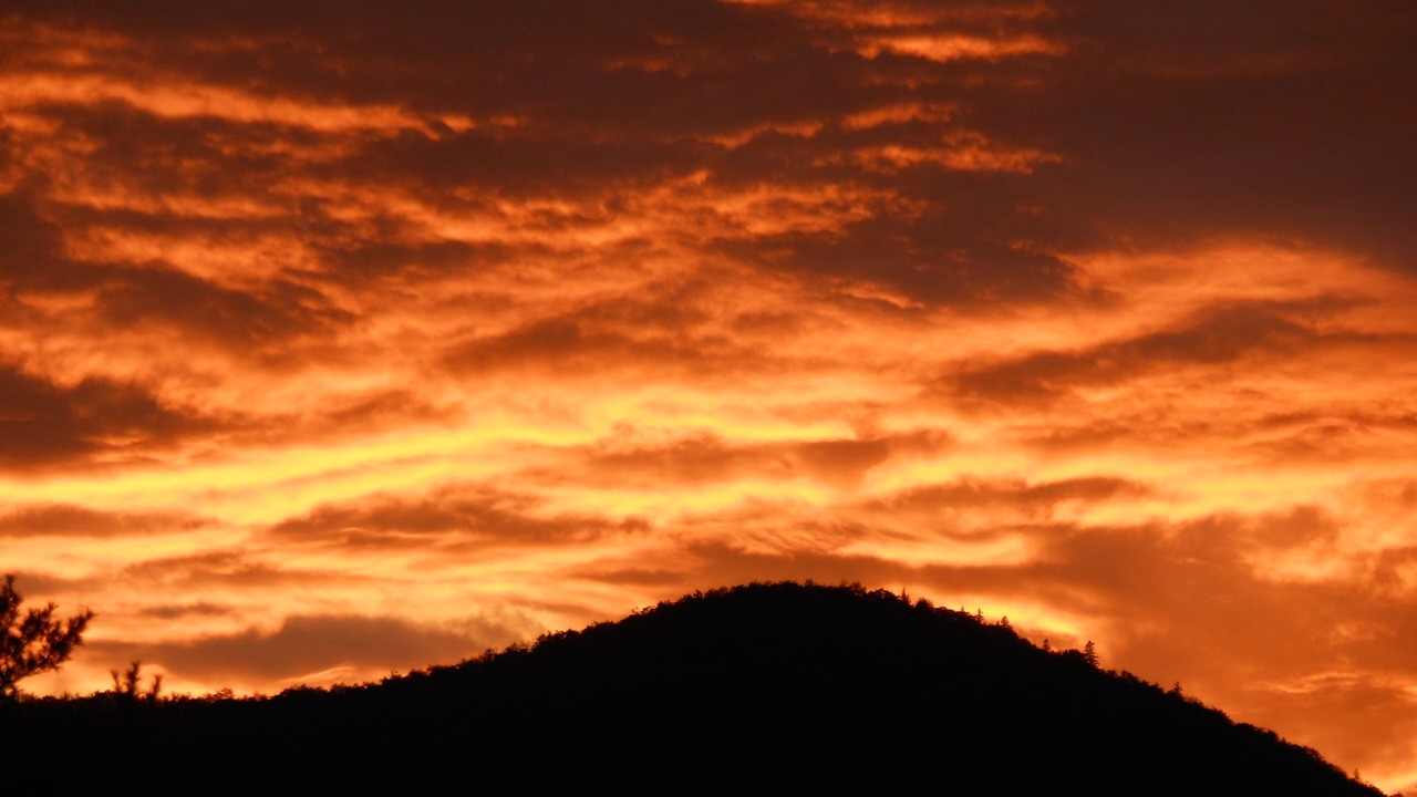 Photo of Others in Wells