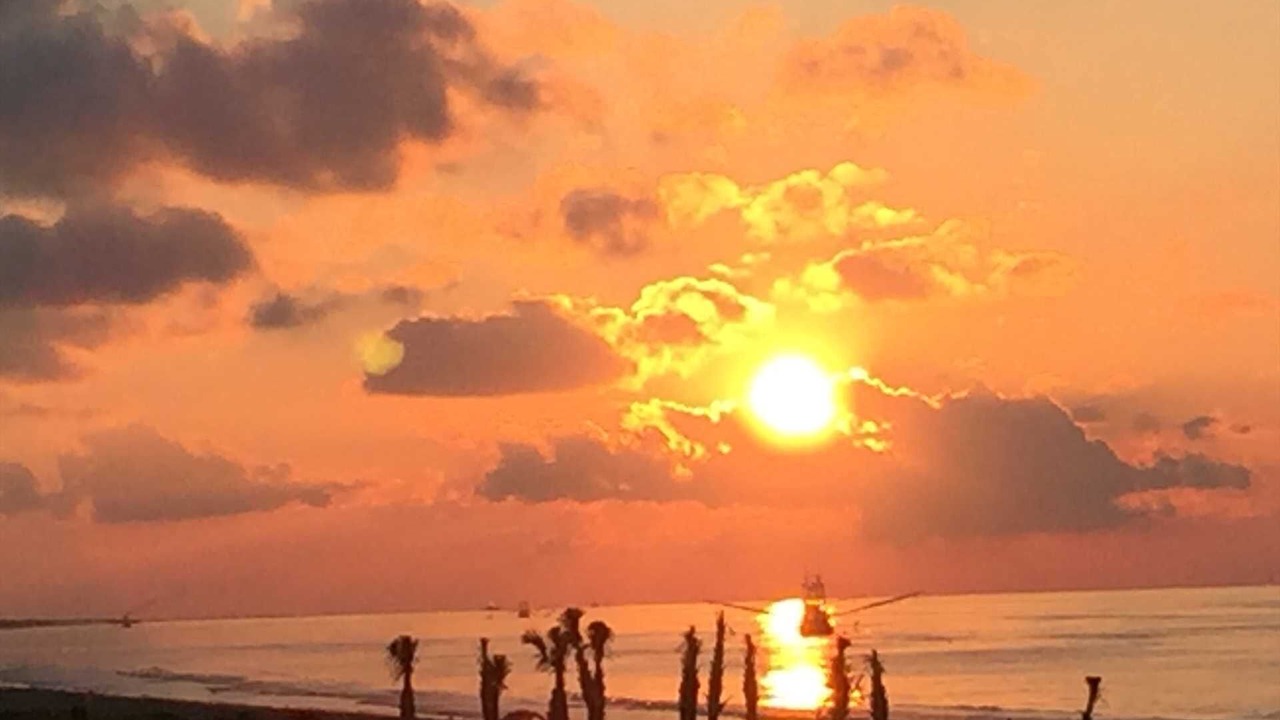 Photo of Others in Grand Isle