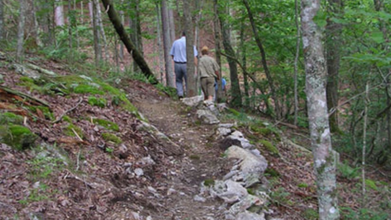 Photo of Outdoor in Waleska
