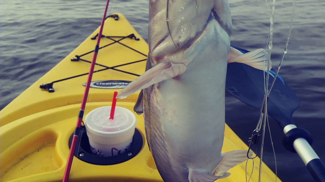 Photo of Others in Wills Point