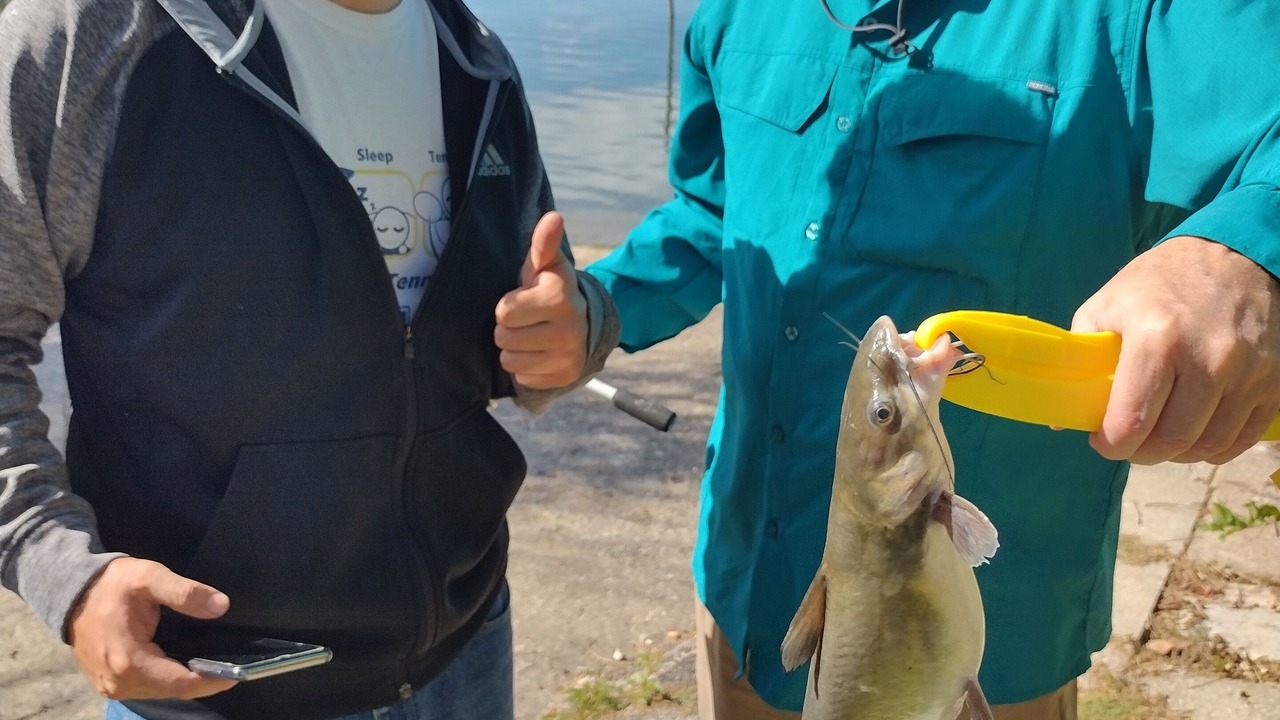 Photo of Others in Wills Point