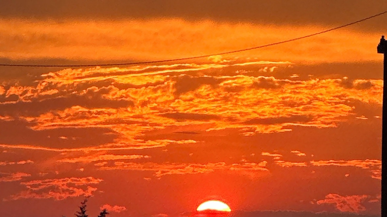 Photo of Others in Slaughter Beach