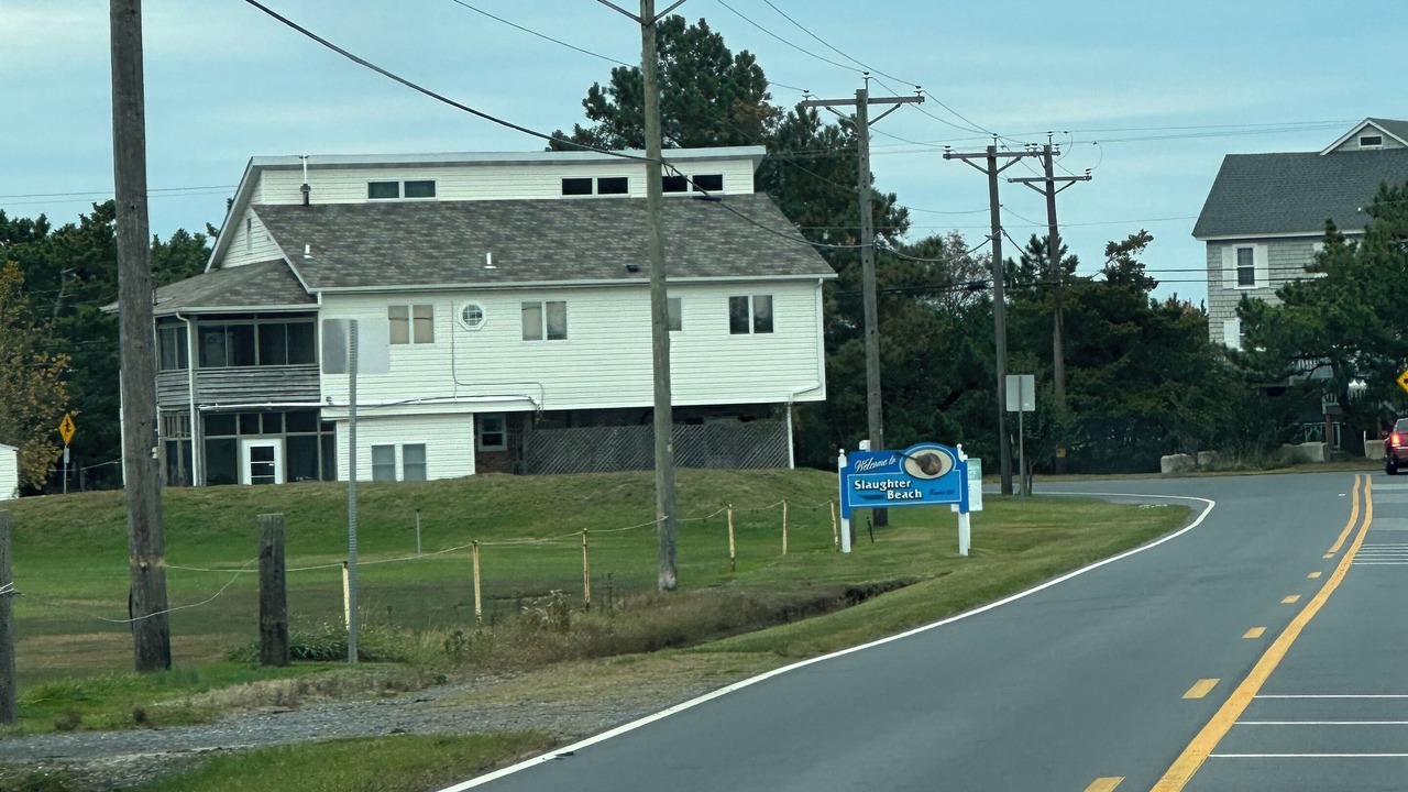 Photo of Outdoor in Slaughter Beach