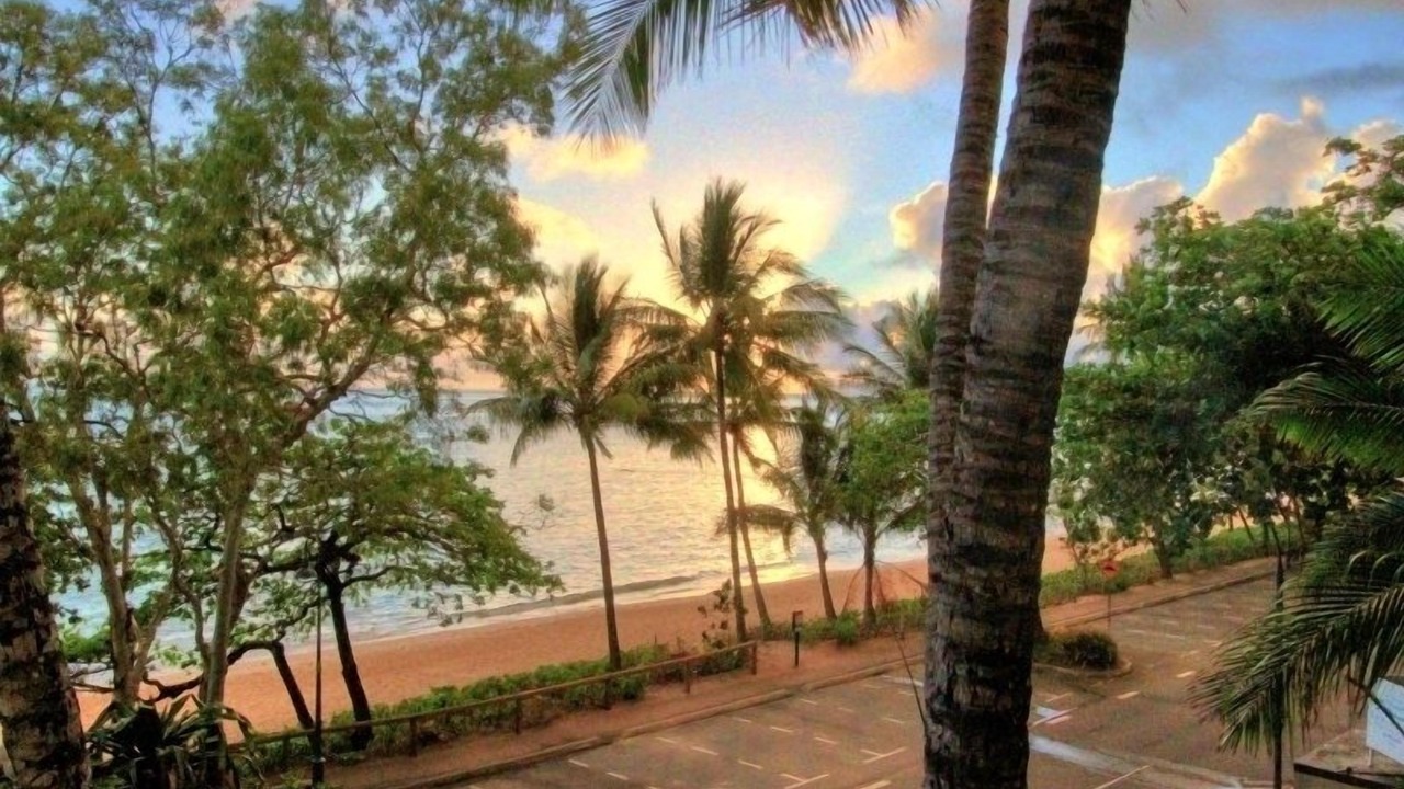 Photo of Others in Trinity Beach