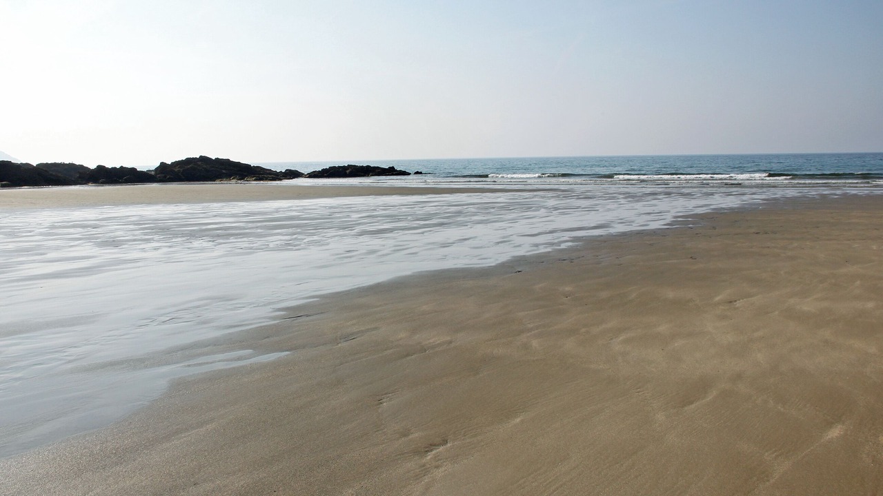 Photo of Others in Portholland