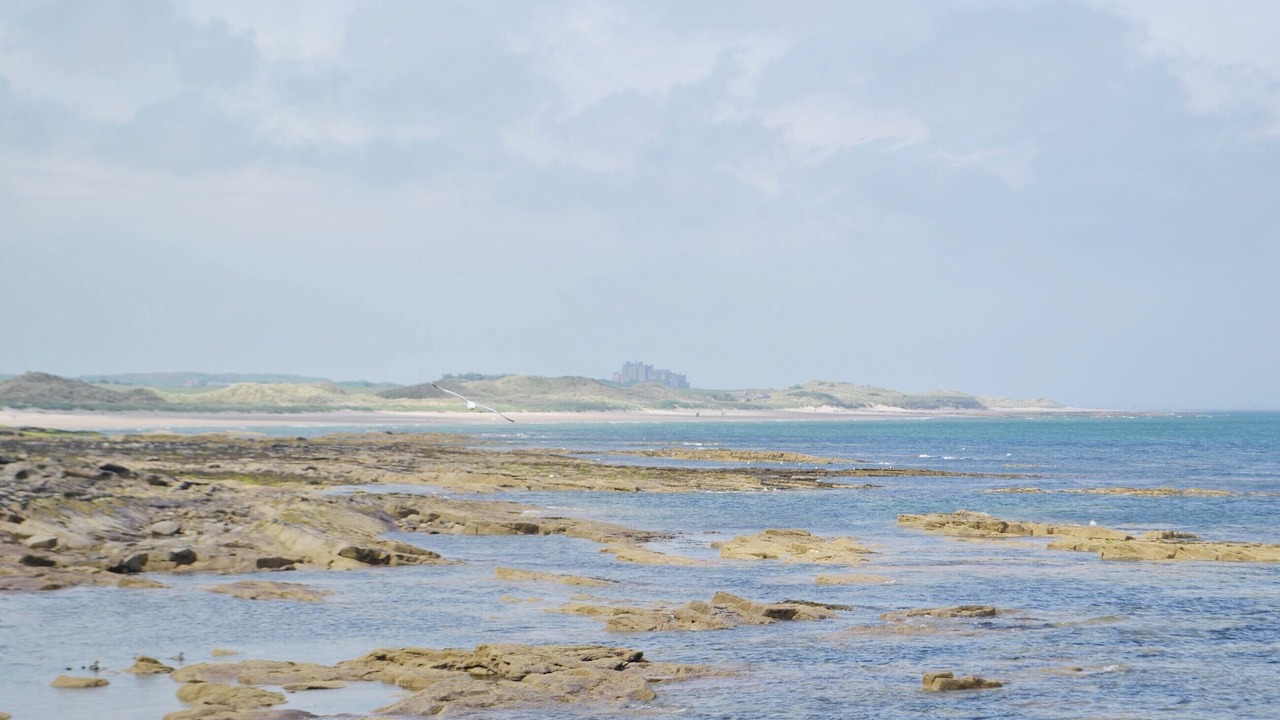 Photo of Others in Seahouses