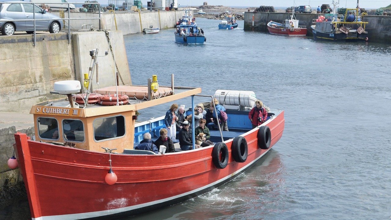 Photo of Others in Seahouses