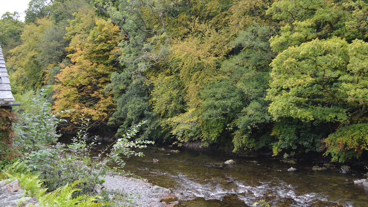 Photo of Others in Keswick